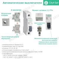 Автоматический выключатель однополюсный B 25А 4.5kA C9F14125 City9 Set