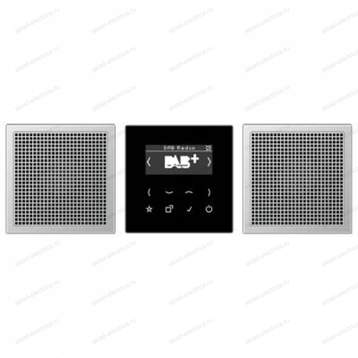 JUNG Смарт радио DAB+, стерео черный/алюминий