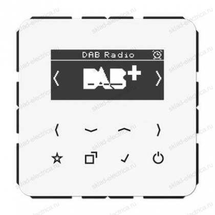 JUNG Цифровое радио DAB +, белый