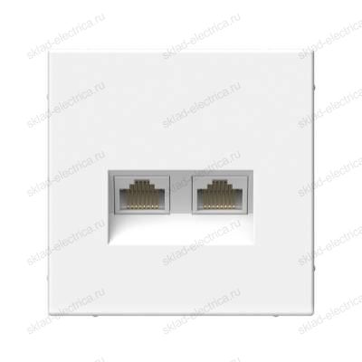 Розетка компьютерная ArtGallery двойная RJ45+RJ45 категория 6A Systeme Electric/Schneider Electric механизм скрытая установка белый GAL000188